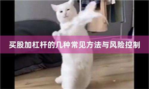 买股加杠杆的几种常见方法与风险控制